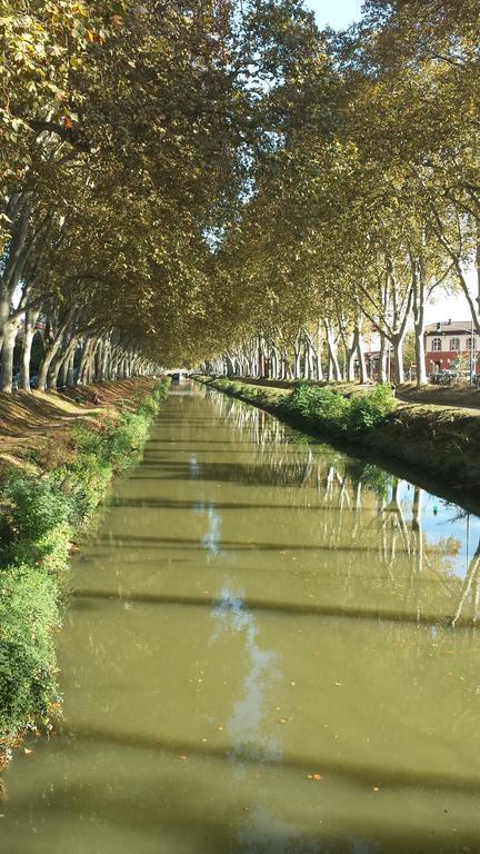 Canal Du Midi Appartement Toulouse Kamer foto